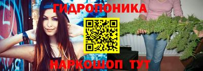 твердый Партизанск