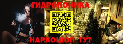 дмт Пенза
