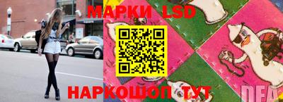 дмт Пенза