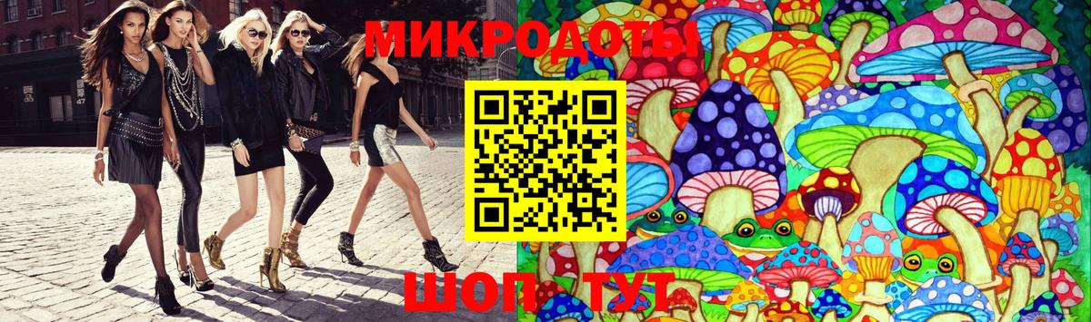 Галлюциногенные грибы Psilocybine cubensis Северск