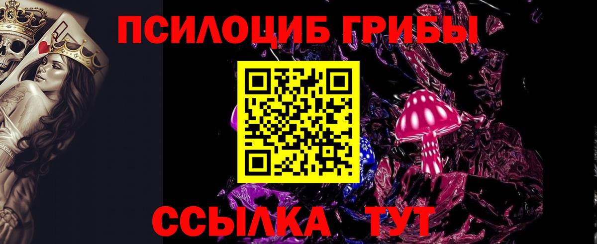 Псилоцибиновые грибы Magic Shrooms  Галлюциногенные грибы Psilocybine cubensis  Северск  Вход с VPN 